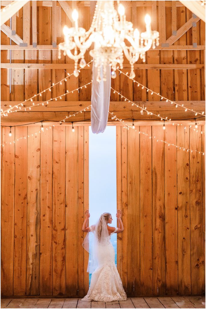 stunning bride indoor image