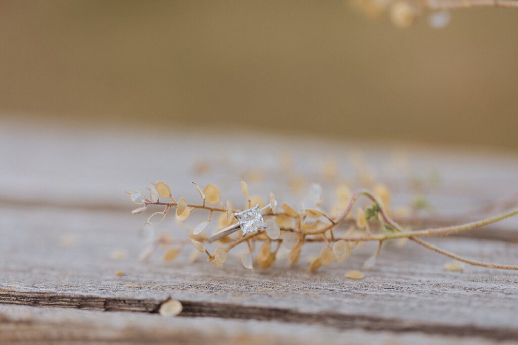 engagement ring during San Juan Mountain engagement session

close up ring photo with mountain background in Colorado

engagement details in San Juan Mountains Colorado