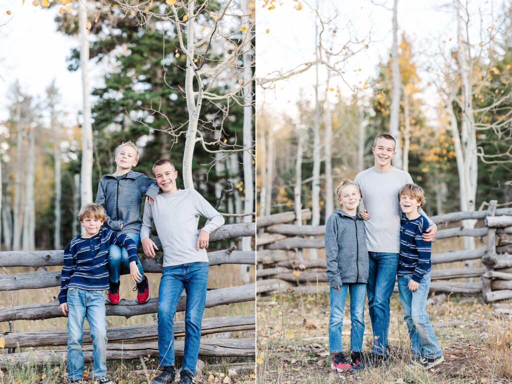 golden aspen family photos
brothers laughing in fall trees
davewood road family session
golden aspens in western colorado
family portraits with fall colors