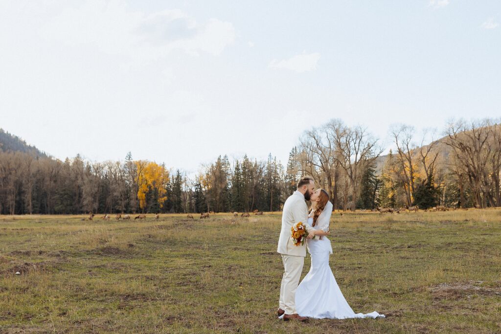 Intimate Telluride elopement with sweeping alpine views