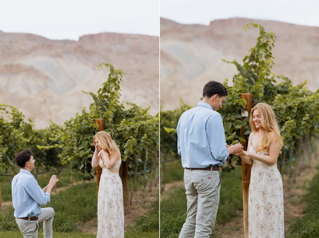 vineyard proposal in Palisade Colorado at Clark and Co Distilling

man proposing to girlfriend in Palisade vineyard engagement session

surprise proposal at Clark and Co Distilling in Palisade Colorado

emotional proposal moment in Palisade Colorado vineyard